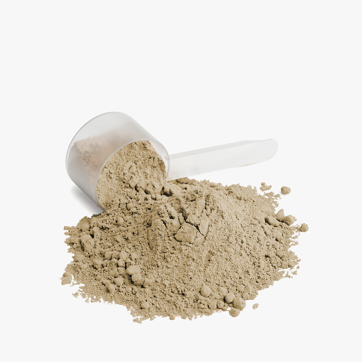 Lactose-free protein supplement
